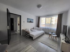 Cosy Elegant Apartment