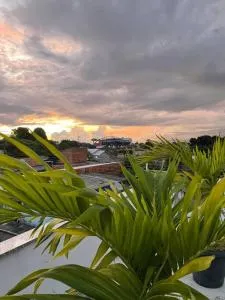 Casa Festival de Parintins 2025 II - 帕林廷斯