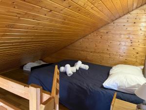 Chalets Capucine 1 : photos des chambres