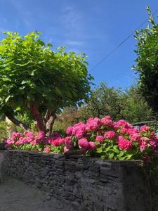 T2 sur jardin, au cœur de Luchon