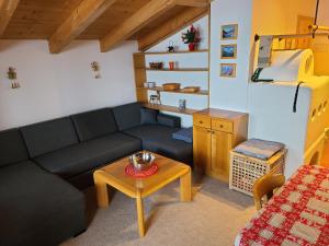Zillertal-Arena 42m2 (2-6 persons: 2adults +4kids)