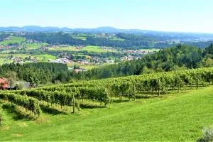 Genuss Appartement am Familien Weingut - Kleinsöding