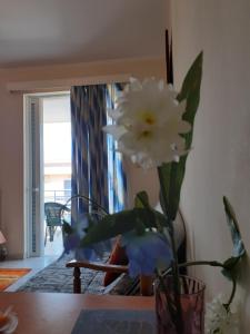a comfortable studio near the University