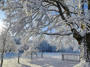 Peace Creek - Tatar Varoš