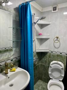 Apartment in Kutaisi Varlamishvili