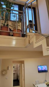 Penthouse Star -Bulevard