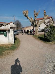 Appartements Appartement ZEN ET COSY : photos des chambres
