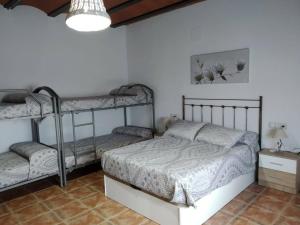 La sombra del lagarto