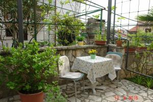 Mini studio Lera ,pazinska 7