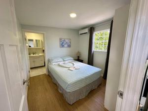 Island Life Apartment