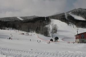 静かな田舎の一軒家 ご家族友達観光大型スキー場近郊