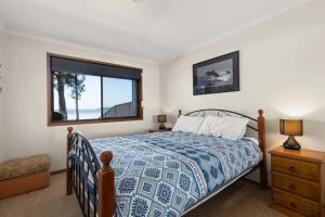 Sea Eagle by Experience Jervis Bay