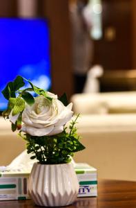 هذه ليلتي فرع الحمراء- This Lailaty Al Hamra Branch