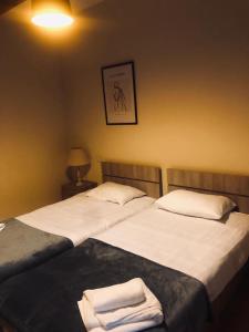 Chill and cozy hidden gem in da center of old city