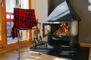 LA GINESTA 2, Apartaments de muntanya