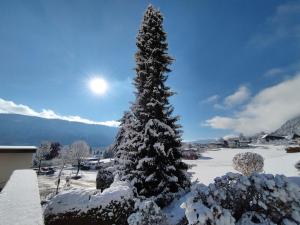 MOOKI Lake Apartment Ossiacher See&Gerlitzen