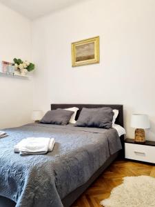 Cozy apartment near city center