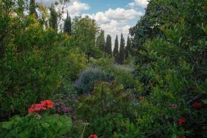 Quinta Maria en la Ruta del Vino
