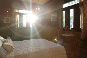 DREAMCATCHER by DW - ADULTS ONLY