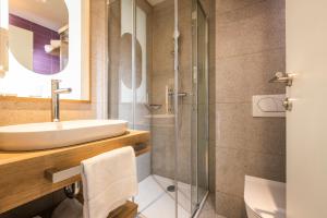 Hotel Vile Park Premium 