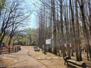 IRIRU Luxury Hanok Stay - Eunpyung Hanok village