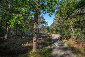 Hotel Woudschoten