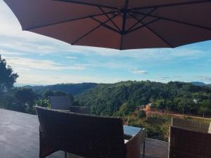 Green bus view inside hills khaokho