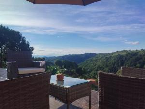 Green bus view inside hills khaokho