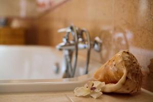 Ferienwohnung-Herbolzheim