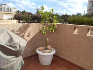 Lovely bungalow with two big terrasses