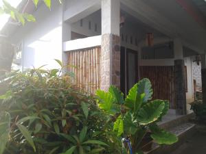 Maeza Homestay