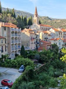 Appartements Appartement Amelie les Bains au pied des THERMES : photos des chambres