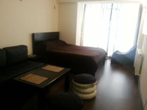 New Gudauri Apartment