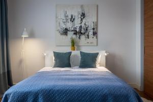 1BD Apartment with Old Town View