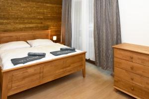 Deluxe Double Studio room in EFI ApartHotel Horní Lipová