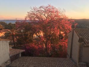 Studio Liège, vue mer au village de Bormes les Mimosas