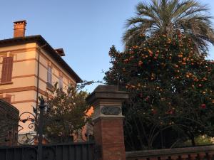 Appartements Studio Liege, vue mer au village de Bormes les Mimosas : photos des chambres