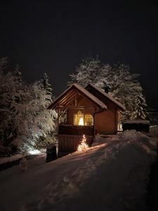 Ica - hišica v hribih 