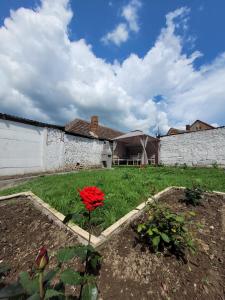 Casa Odessei 9 Oradea fara petreceri de orice forma