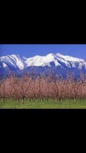 proche de Collioure maison au calme avec Spa