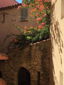 Studio 3 pers coeur de village Bormes les Mimosas