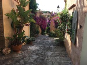 Appartements Studio 3 pers coeur de village Bormes les Mimosas : photos des chambres