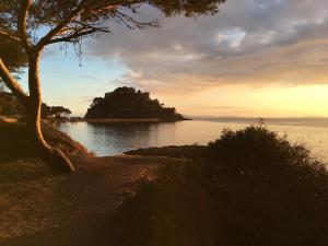 Appartements Studio 3 pers coeur de village Bormes les Mimosas : photos des chambres