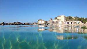 Appartements Studio 3 pers coeur de village Bormes les Mimosas : photos des chambres