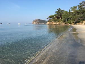 Appartements Studio 3 pers coeur de village Bormes les Mimosas : photos des chambres