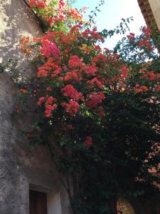 Appartements Studio Liege, vue mer au village de Bormes les Mimosas : photos des chambres