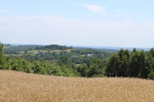 Agroturystyka Za Dębem