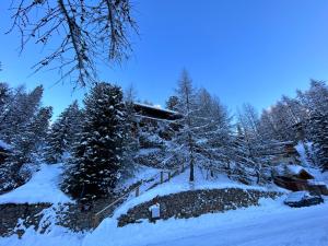 PARADIS LODGE, chalet altitude 2000m, Vue, Plagne Centre, 200m des pistes