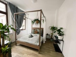 Pretty Home City Jungle