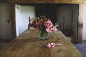 Le Pressoir - domaine du Chateau de La Bourlie - Boutique villa up to 12 guests